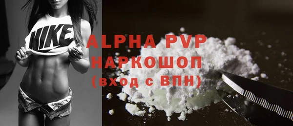 apvp Кукмор