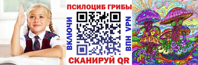 Галлюциногенные грибы мицелий где можно купить наркотик Железноводск